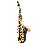 Curved Soprano Saxophones 375 JB