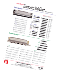 Harmonica Wall Chart 20291