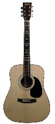 W40 Junior Dreadnought Guitar