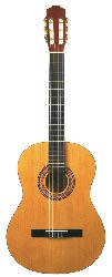 EX81 Classical Guitars